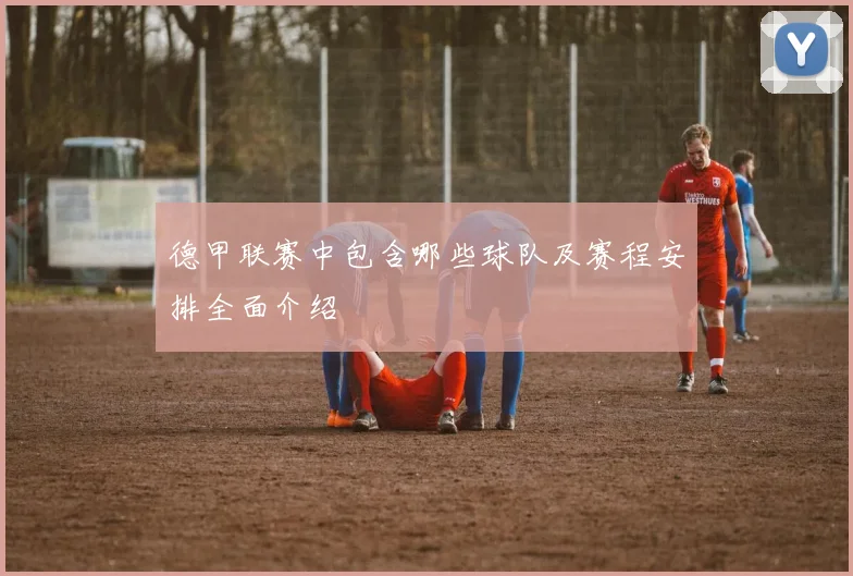 德甲联赛中包含哪些球队及赛程安排全面介绍