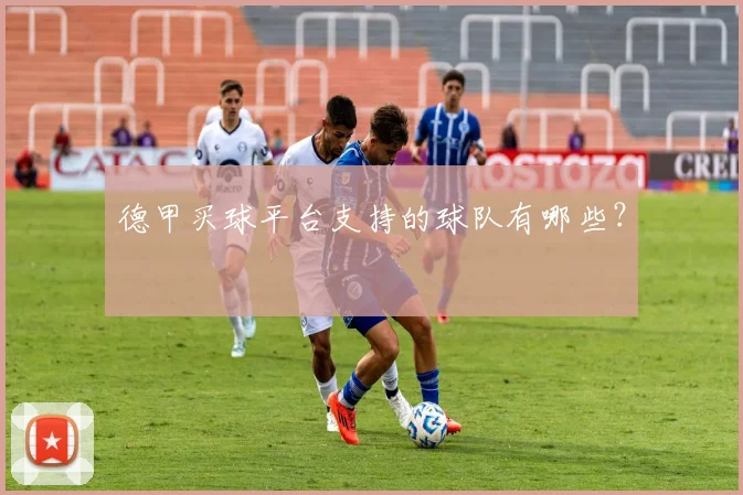 德甲买球平台支持的球队有哪些？