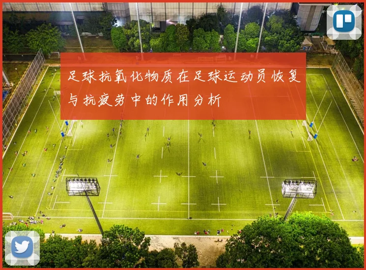 足球抗氧化物质在足球运动员恢复与抗疲劳中的作用分析