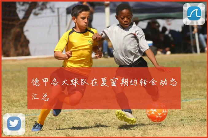 德甲各大球队在夏窗期的转会动态汇总